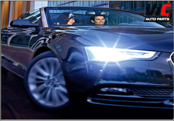 LIMA HID Globes D4S 6000K