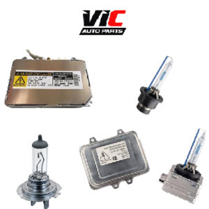 Xenon HID Globes and Modules
